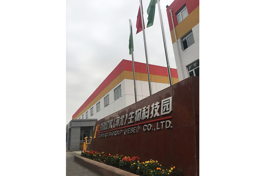 基地-门头.jpg